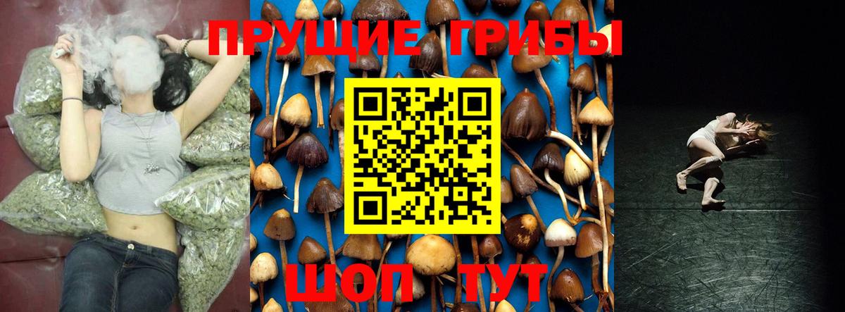Псилоцибиновые грибы мухоморы Ахтубинск